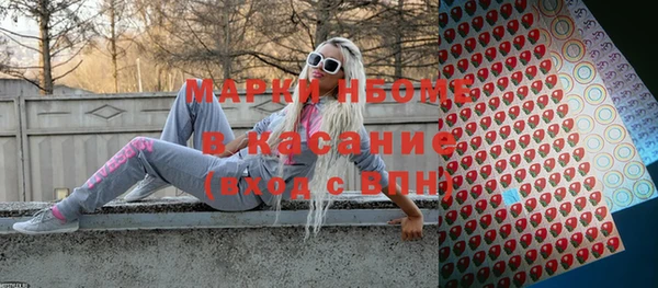 хмурый Горняк