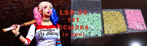 стаф Гусев