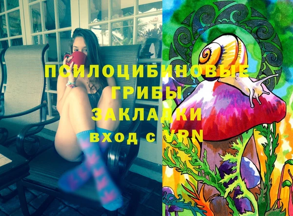 хмурый Горняк